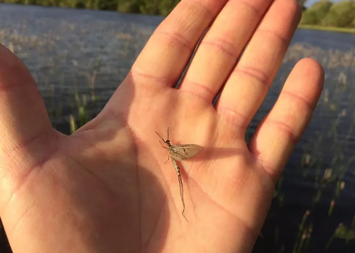 Andresna House Corrigeenroe